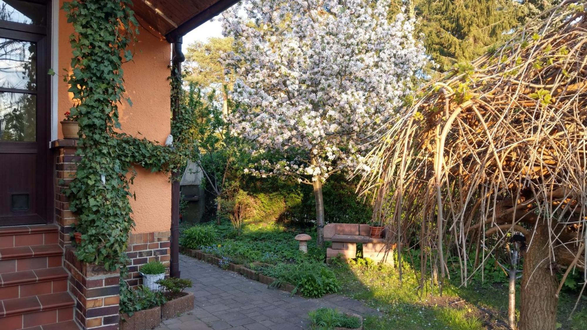 Ferienwohnung Luise, Gemuetlich, Freundlich Und Ganz Nah An Berlin Oranienburg Exterior photo